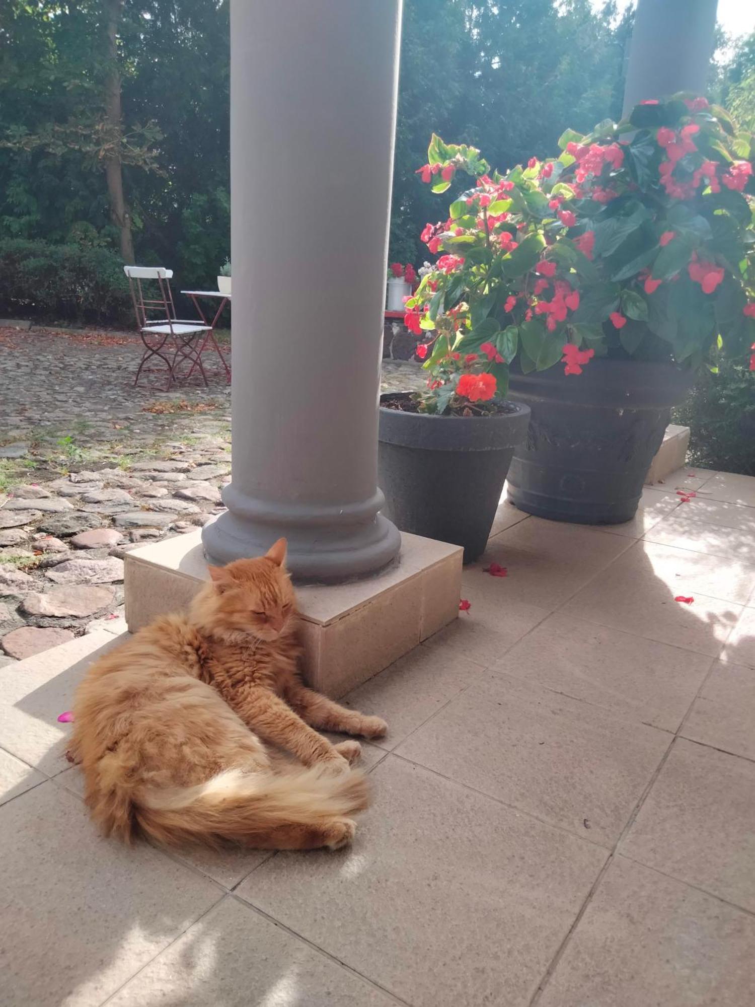 Dworek pod Herbem Villa Gądkowice Buitenkant foto